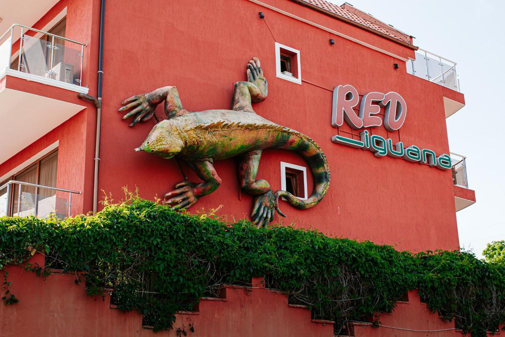 Red Iguana Hotel Sveti Vlas Exterior foto